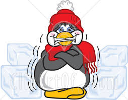 coldpenguin.jpg